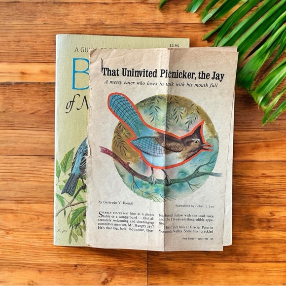 Vintage 1966 Golden Field Guide: Birds of North America - Softcover - Picture 13 of 14